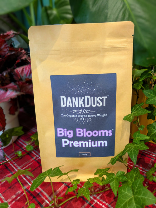 DankDust: Big Blooms™ – Premium Organic Flowering Supermix (500g)